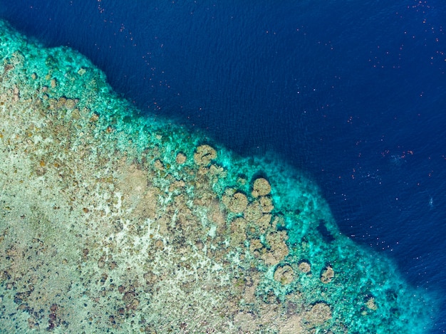 Widok Z Lotu Ptaka Z Góry Na Dół Rafa Koralowa Tropikalne Morze Karaibskie, Turkusowa Woda. Indonezja Archipelag Moluccas, Wyspy Banda, Pulau Hatta. Najlepsza Miejscowość Turystyczna, Najlepsze Nurkowanie Z Rurką.