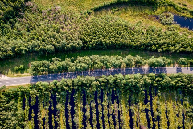 Widok z lotu ptaka z góry na wiejską drogę przez las jodłowy w lecie, długie cienie z drzew. Bagno w pobliżu