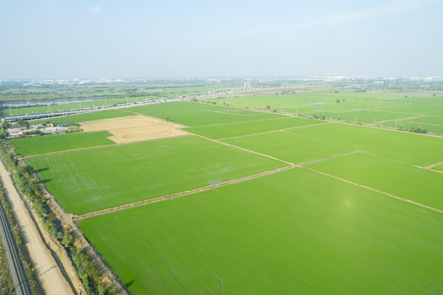 Widok z lotu ptaka z latającego drona ryżu polnego z krajobrazem zielony wzór tło natura widok z góry ryż polny