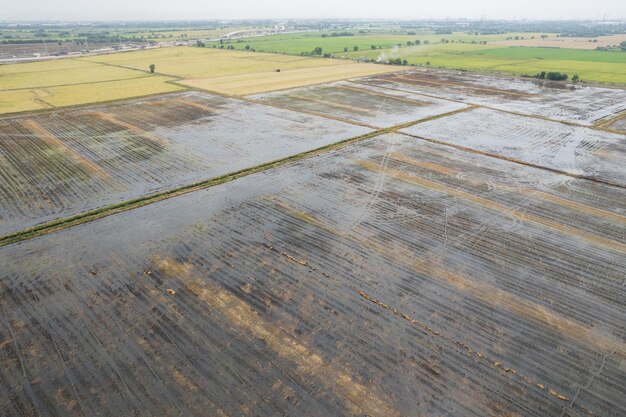 Widok z lotu ptaka z latającego drona ryżu polnego z krajobrazem zielony wzór tło natura widok z góry ryż polny