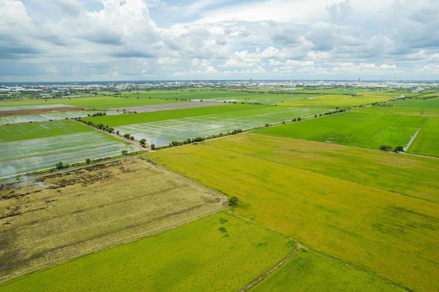 Widok z lotu ptaka z latającego drona ryżu polnego z krajobrazem zielony wzór tło natura widok z góry ryż polny