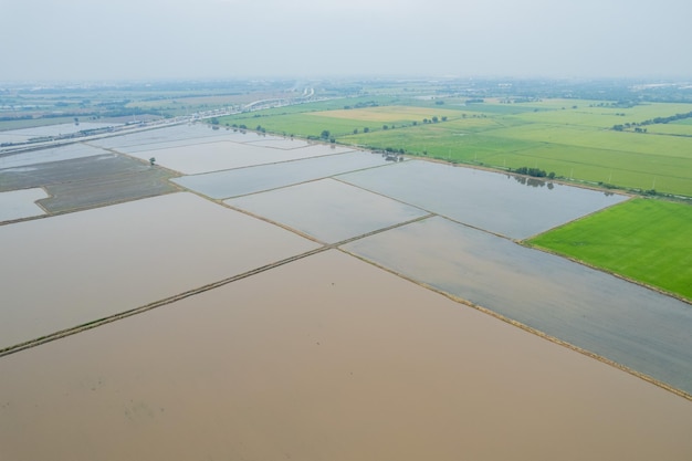 Widok z lotu ptaka z latającego drona ryżu polnego z krajobrazem zielony wzór tło natura widok z góry ryż polny