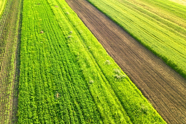 Widok Z Lotu Ptaka Zielone Pola Rolnicze Na Wiosnę Ze świeżą Roślinnością