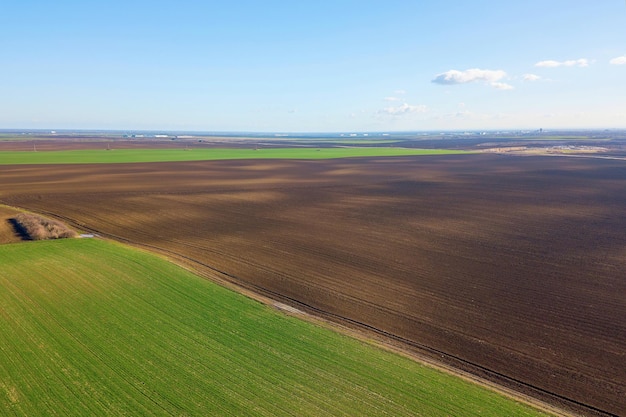 Widok z lotu ptaka Zielone pole z góry