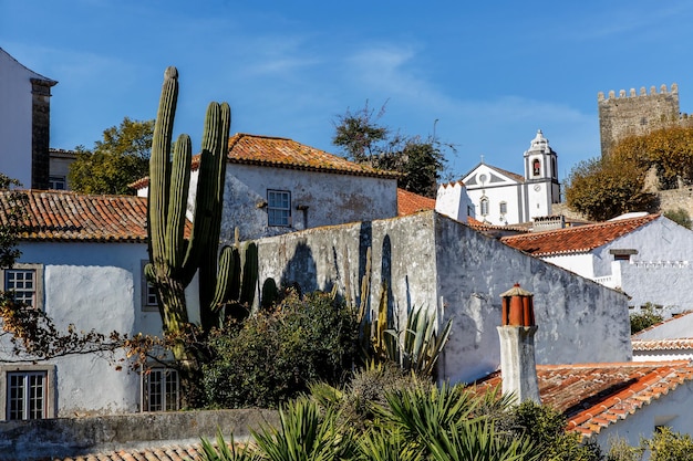 Widok z murów miejskich pięknej wioski Obidos Portugalia