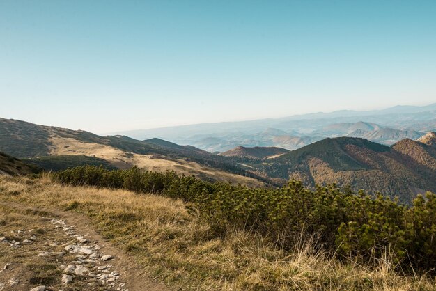 Widok z Parku Narodowego Gór Mała Fatra Panoramiczny krajobraz górski na Słowacji Orawskiej