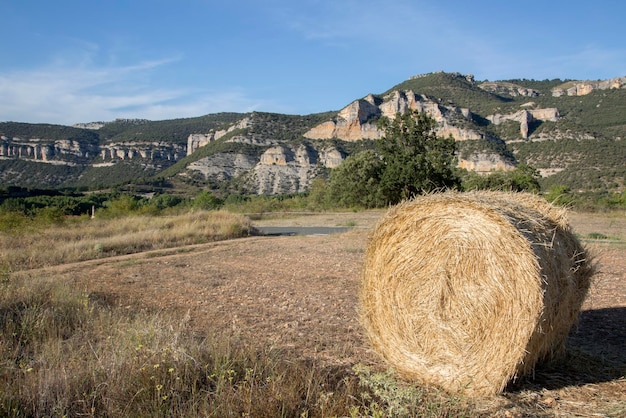 Widok z Pesquera de Ebro i Hay Barrel, Burgos, Hiszpania