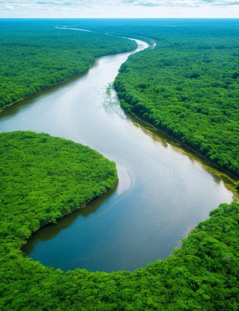 Zdjęcie widok z powietrza krajobrazu dżungli amazonii z zakrętem rzeki