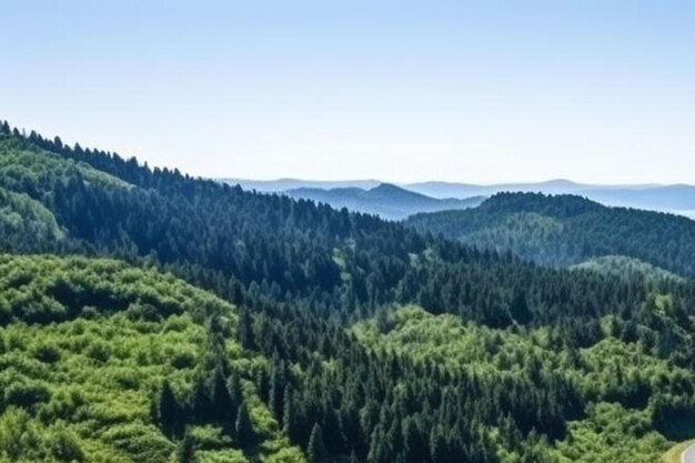 Zdjęcie widok z powietrza krętej drogi w wysokiej górskiej przełęczy przez gęste zielone lasy sosnowe