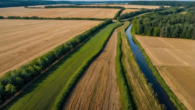 Zdjęcie widok z powietrza na pola przy rzece