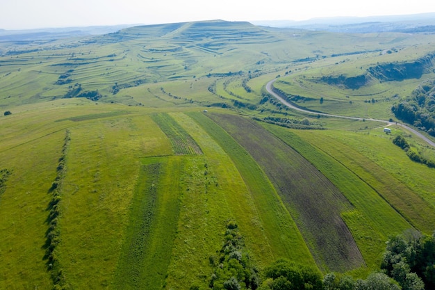 Zdjęcie widok z powietrza na tętniące życiem zielone wzgórza transylwanii rumunii z punktu widzenia drona