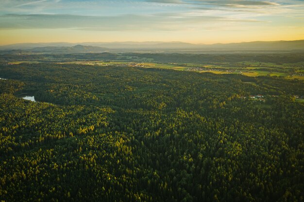 Widok z powietrza na zielony las alpejski w Austrii