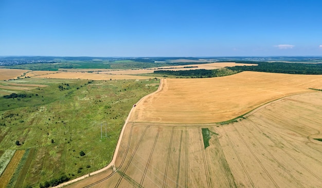 Widok z powietrza na żółte uprawiane pole rolne z dojrzałą pszenicą w jasny letni dzień