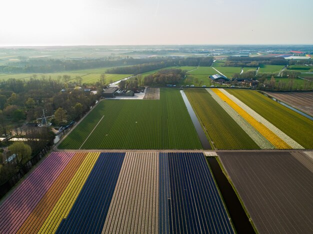 Zdjęcie widok z powietrza pola rolniczego na tle nieba