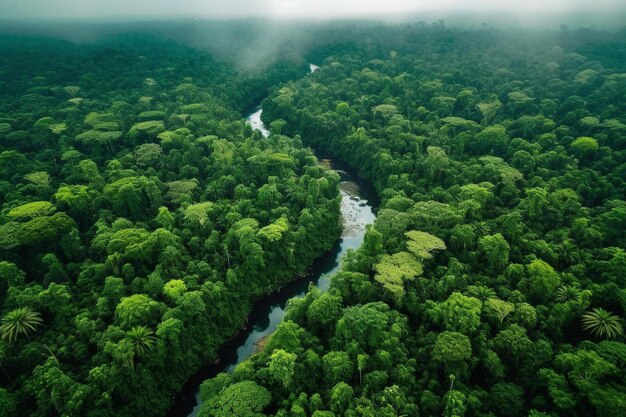 Widok z powietrza rzeki Serpentine przez bujne lasy