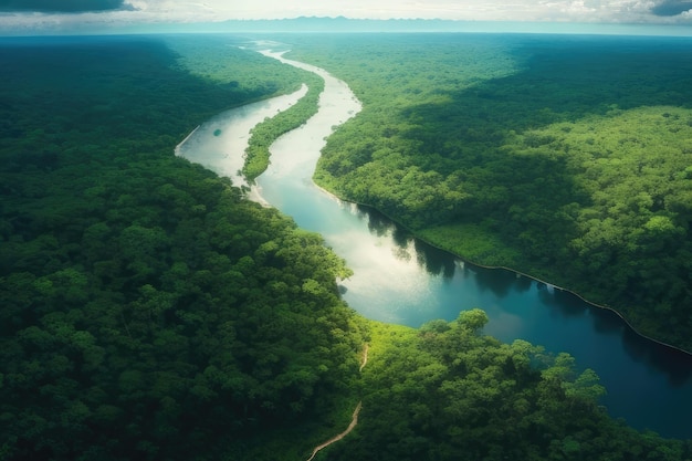 Widok z powietrza rzeki w lesie
