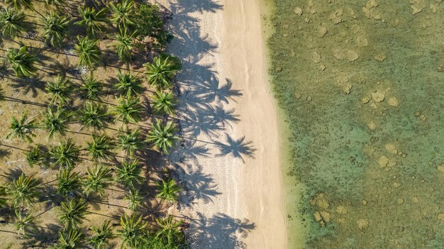 Zdjęcie widok z powietrza tropikalnej plaży z nad morza piasku i palmy krajobraz plaży wyspy