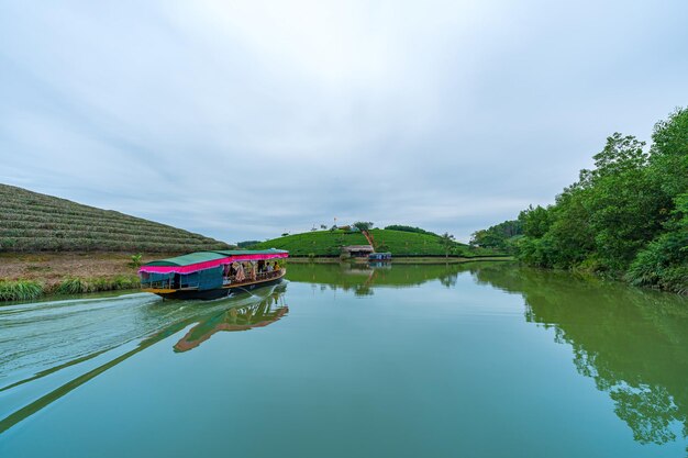 Zdjęcie widok z powietrza wyspy thanh chuong, wzgórza herbaty, zielony krajobraz, zielony liść thanh chun nghe, wietnam