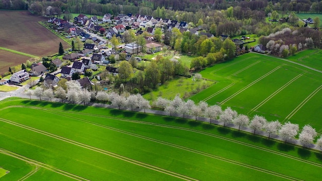Widok z powietrza z drona na krajobraz wiosenny droga wśród kwitnących wiśni w pobliżu wioski i zielonych pól na wsi w Niemczech