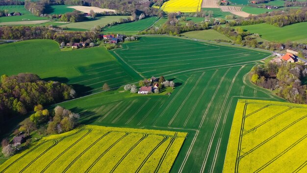 Widok z powietrza z drona na żółte pola rzepaków na niemieckiej wsi