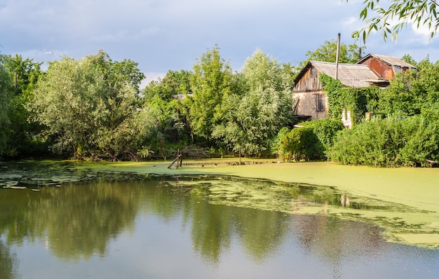 Widok z przodu Jezioro bagienne na Ukrainie