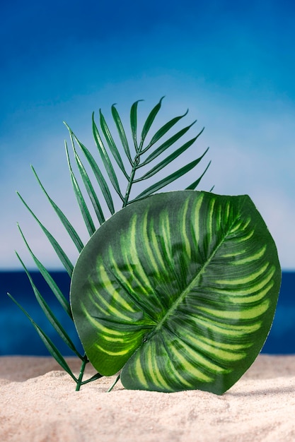 Zdjęcie widok z przodu roślin pozostawia na plaży