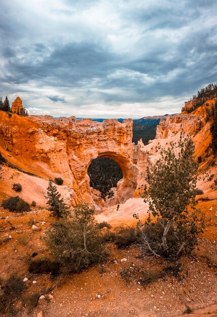 Widok z punktu widokowego na piękny The Arch Grand Escalante w Parku Narodowym Bryce. Utah, Stany Zjednoczone, zdjęcie pionowe