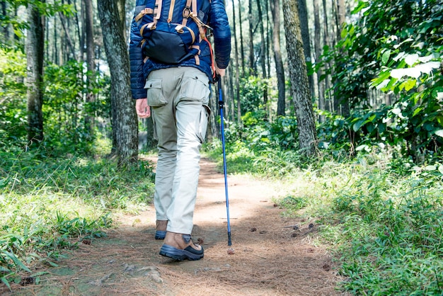 Widok z tyłu człowieka Azji podróżnik z plecakiem i chodzenie na słupie trekkingowym
