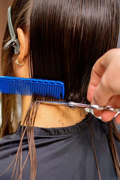 Widok z tyłu fryzjera męskiego ścina włosy młodej kobiety z siscors i grzebieniem