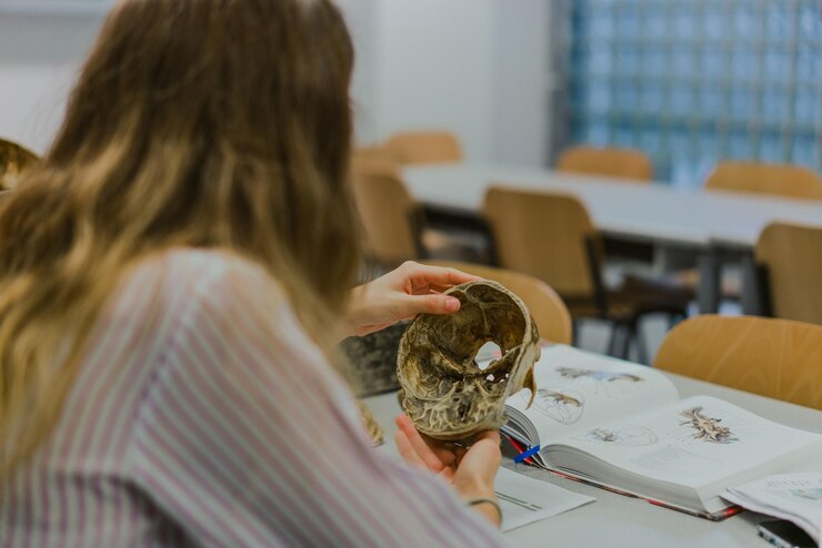 Zdjęcie widok z tyłu kobiety trzymającej czaszkę w klasie