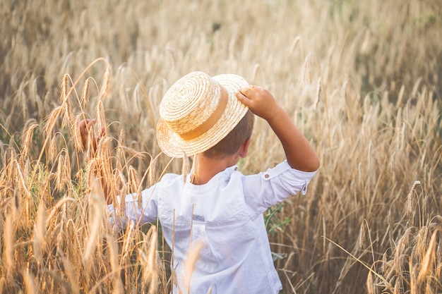 Widok z tyłu na słodkie dziecko chłopca w słomkowym kapeluszu z stokrotkami w ręce, chodzenie na polu żyta i oglądanie na odległość. Dziecko spaceruje po wsi. Styl życia