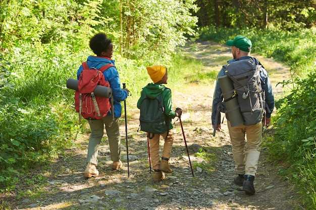 Widok z tyłu trzyosobowej rodziny spaceru razem po lesie