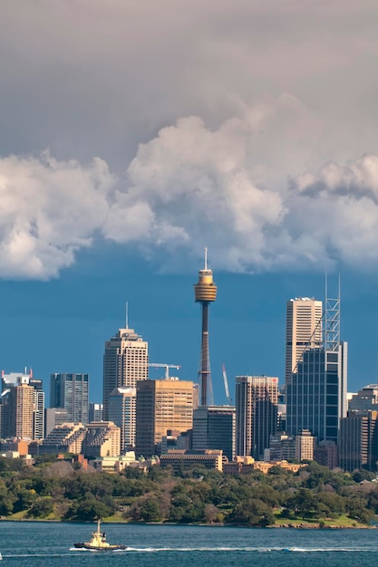 Widok z wieży w Sydney