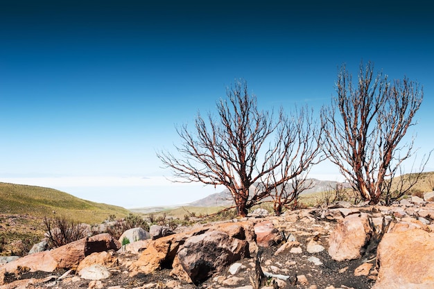 Zdjęcie widok z wulkanu tunupa na solnisko salar de uyuni, altiplano, boliwia