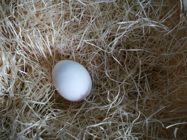 Zdjęcie widok z wysokiego kąta na jaja w gnieździe