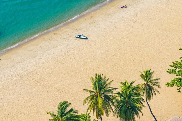 Zdjęcie widok z wysokiego kąta na palmy na plaży