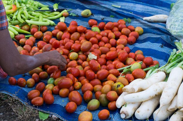Zdjęcie widok z wysokiego kąta ręcznego wybierania warzyw na targu