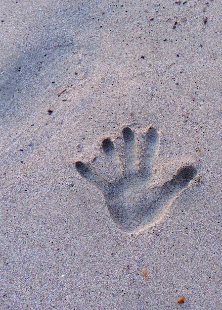 Zdjęcie widok z wysokiego kąta śladów stóp na piasku na plaży