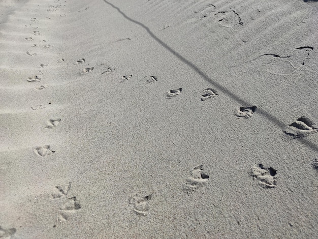 Zdjęcie widok z wysokiego kąta śladów stóp na piasku na plaży