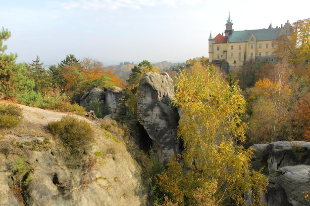 Widok zbudowanej konstrukcji i drzew