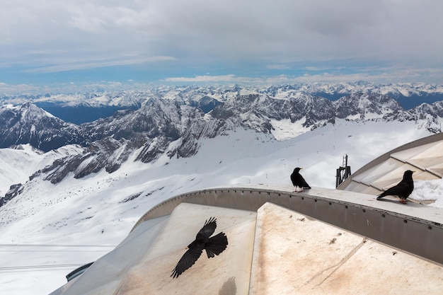 Widok ze szczytu Zugspitze w Alpach