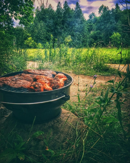 Zdjęcie widok zielonego pola