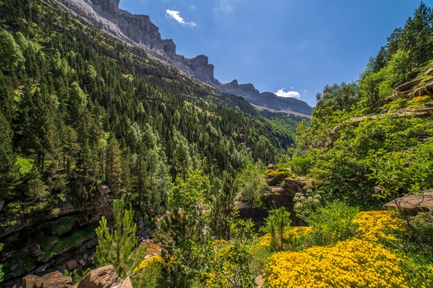 Widoki Na Dolinę Ordesa Z Dolnej Części Doliny Aragon Huesca Hiszpania