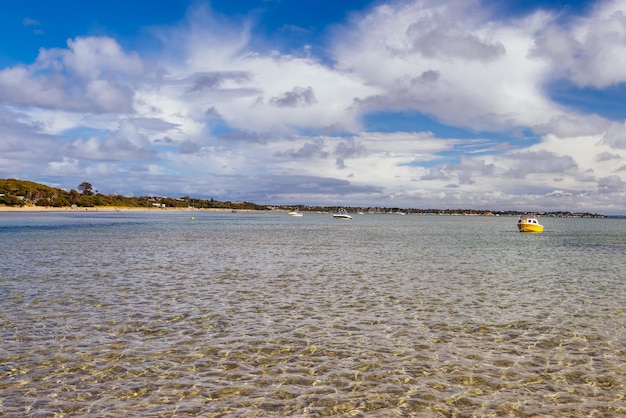 Widoki z zatoki Port Phillip w rezerwacie Tyrone Foreshore w ciepły, słoneczny jesienny dzień na półwyspie Mornington w Melbourne Victoria Australia