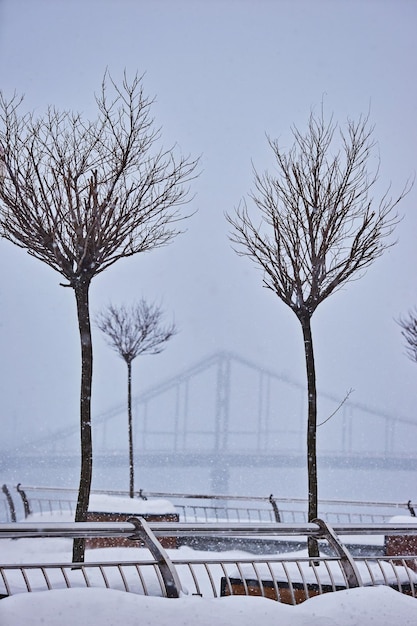 Wieczór i noc na wielkiej ukraińskiej rzece Dniepr z panoramą mostu dla pieszych w Kijowie