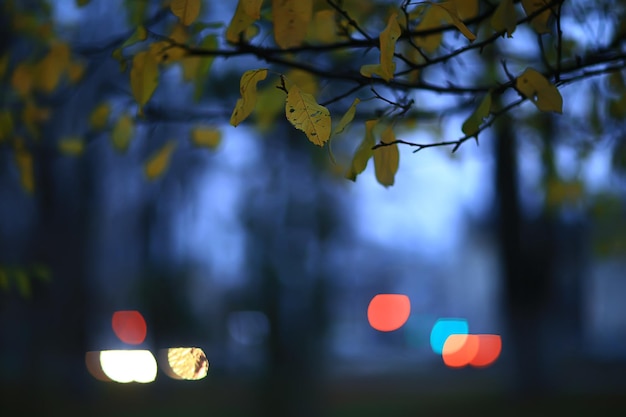 wieczorne światła rozmyte tło bokeh jesień, abstrakcyjne tło miasta, jesień