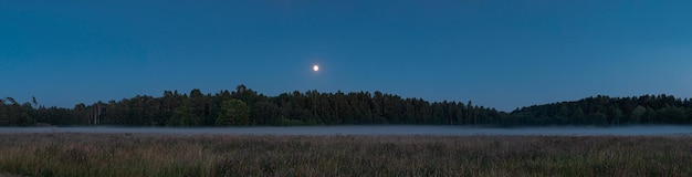 Wieczorny krajobraz z księżycem na niebie, mgłą na polu i skraju lasu. Obraz panoramiczny