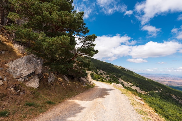 Zdjęcie wiejska droga przemian w moncayo górze, aragon region, hiszpania. środowisko naturalne w sezonie letnim.