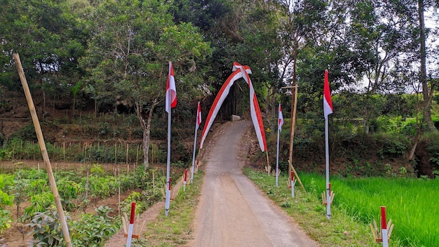 wiejska droga z indonezyjską flagą