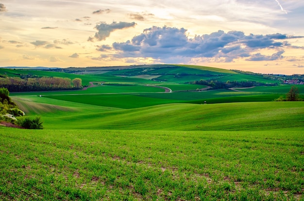 Wiejski krajobraz z kolorowymi polami i falami o wschodzie słońca, wiosna sezonowe naturalne tło. Morawy Południowe, Czechy